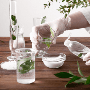 Cosméticos Naturais